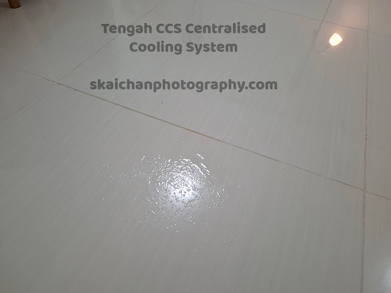 ccs leaking 01